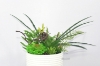 Picture of ARTIFICIAL PLANT 280 with Vase (14cm x 36cm)