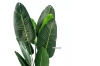 Picture of ARTIFICIAL PLANT 120/180cm Banana Leaf with Black Plastic Pot