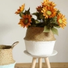 Picture of Seagrass Belly Basket/ Floor Planter/ Storage Belly Basket in White & Natural Two Tone Color Extra Large Size