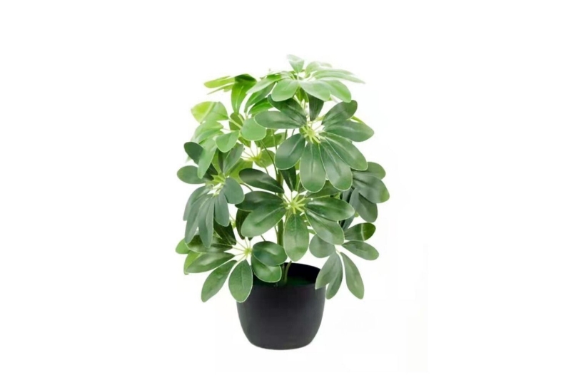 Picture of ARTIFICIAL PLANT 266-272 50cm