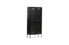 Picture of STARK Steel Frame 2-Arched Door Accent Glass Display Cabinet (Black)