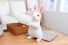Picture of EASTER Bunny Plush Cushion (Multiple Colors)
