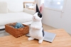 Picture of EASTER Bunny Plush Cushion (Multiple Colors)