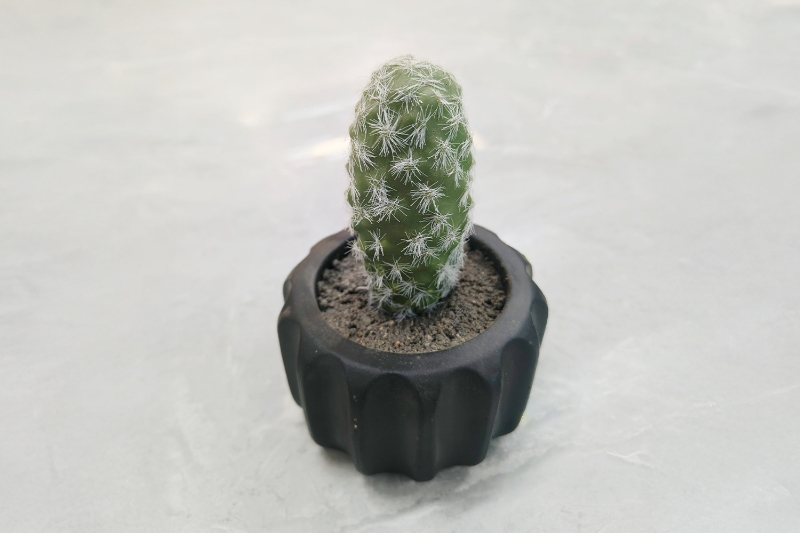 Picture of ARTIFICIAL Round Cactus Potted Plant - Each