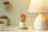 Picture of Set of 6 - ARTIFICIAL Gradient Succulent Plants with Cement Pots