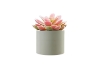 Picture of Set of 6 - ARTIFICIAL Gradient Succulent Plants with Cement Pots