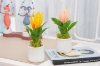 Picture of Set of 3 - ARTIFICIAL Flower Potted Plants 3 Piece Decorative Set
