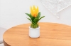 Picture of Set of 3 - ARTIFICIAL Flower Potted Plants 3 Piece Decorative Set