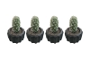 Picture of ARTIFICIAL Round Cactus Potted Plant - Set of 4 