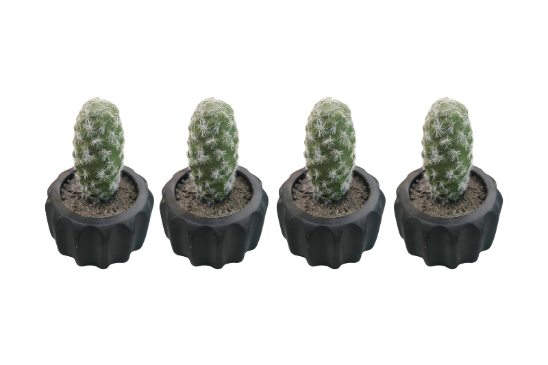 Picture of ARTIFICIAL Round Cactus Potted Plant - Set of 4 