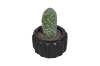 Picture of ARTIFICIAL Round Cactus Potted Plant - Each