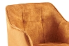 Picture of TAMPA Arm Dining Chair (Caramel) - Each