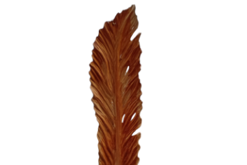 Picture of 650-008 46.5" Large Leaf-Shaped Teak Root Carving Sculpture