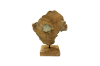 Picture of 650-021 Teak Root Abstract Decorative Sculpture (9"x14")